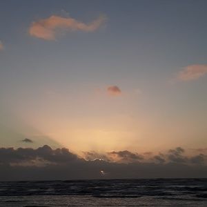 Meet your Posher, Evie